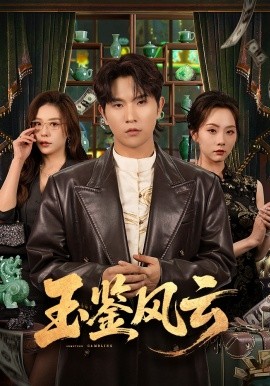 玉鉴风云封面图