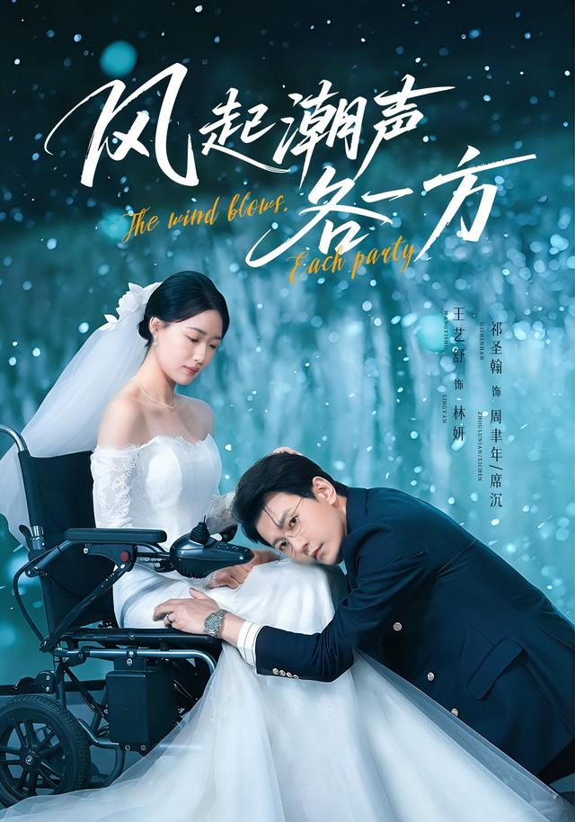 风起潮声各一方封面图