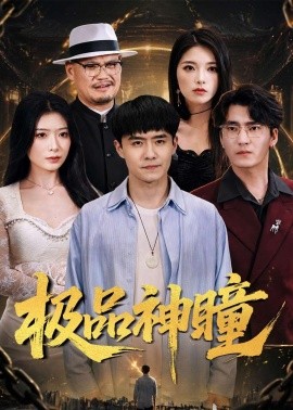 极品神瞳封面图
