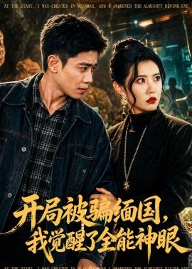 开局被骗缅国，我觉醒了全能神眼封面图